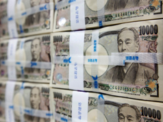 US Says It Is Not Pursuing Currency Targets in Trade Talks with Japan